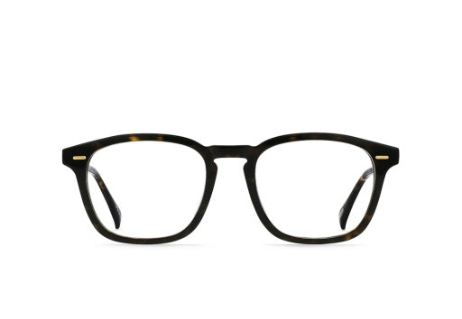 COPLEY_AGAVE-TORTOISE-CLEAR