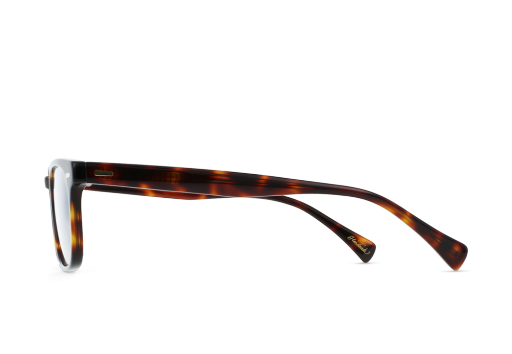 DOHENY-II_KOLA-TORTOISE-CLEAR