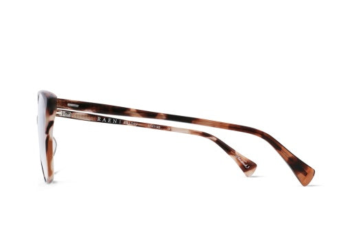 DAISEY_ALMOND-TORTOISE---CLEAR