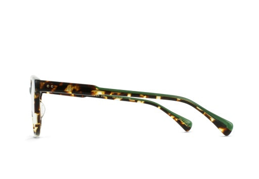 MARIN-II_BRINDLE-TORTOISE-CLEAR