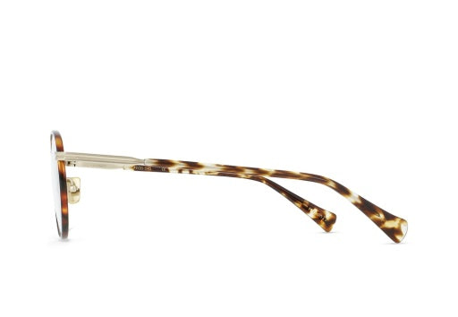 MASON-II_TAWNY-BRINDLE-TORTOISE-CLEAR