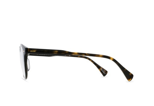 COPLEY_AGAVE-TORTOISE-CLEAR