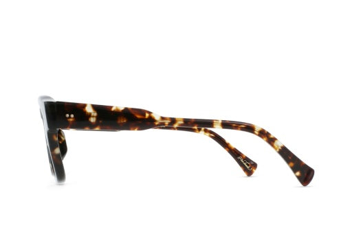 RECE_BRINDLE-TORTOISE---GREEN-POLARIZED