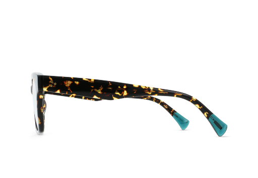 STASE_COSMOS-TORTOISE-AZUL-CLEAR