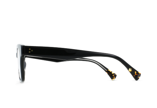 STASE_CRYSTAL-BLACK-COSMOS-TORTOISE-CLEAR