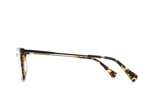 WILT_STOUT-BRINDLE-TORTOISE---CLEAR