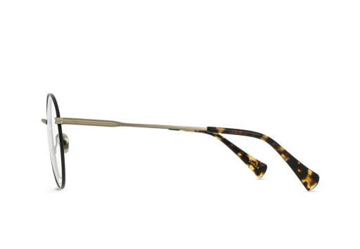 ZONIA_SATIN-JAPANESE-GOLD-COSMOS-TORTOISE-CLEAR